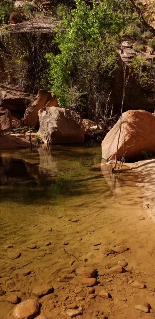 Zion National Park